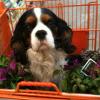 891 Kimi beim Shoppen
