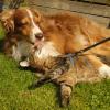 898 Hanni und Ron